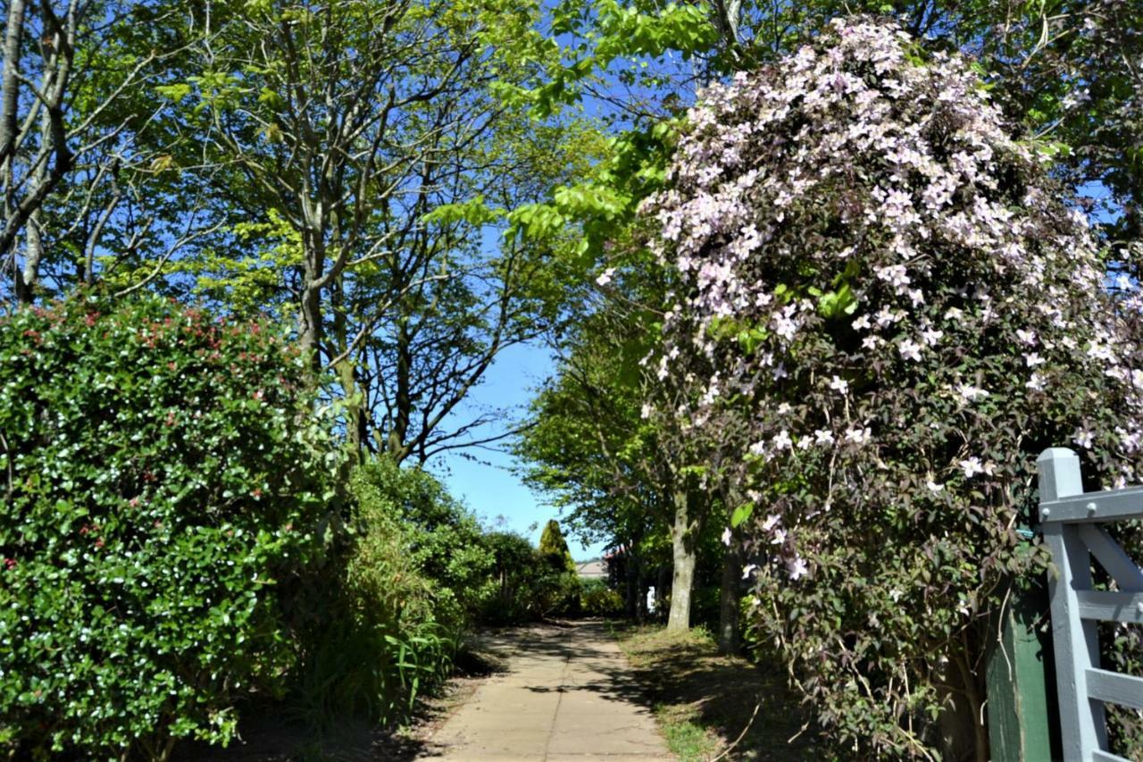 Brookfields Bed & Breakfast Wadebridge Bagian luar foto