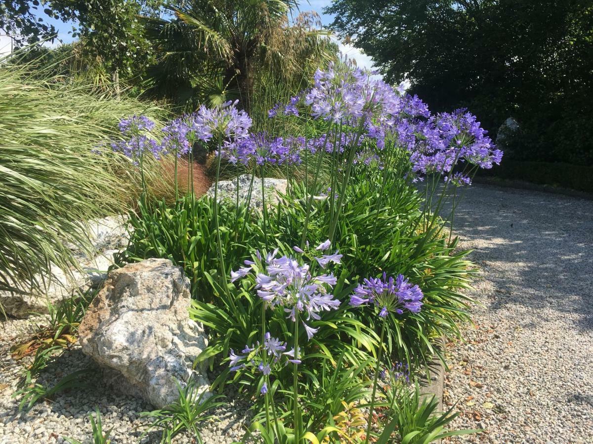 Brookfields Bed & Breakfast Wadebridge Bagian luar foto